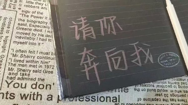 朝暮与年岁共往 然后与你一同行至天光